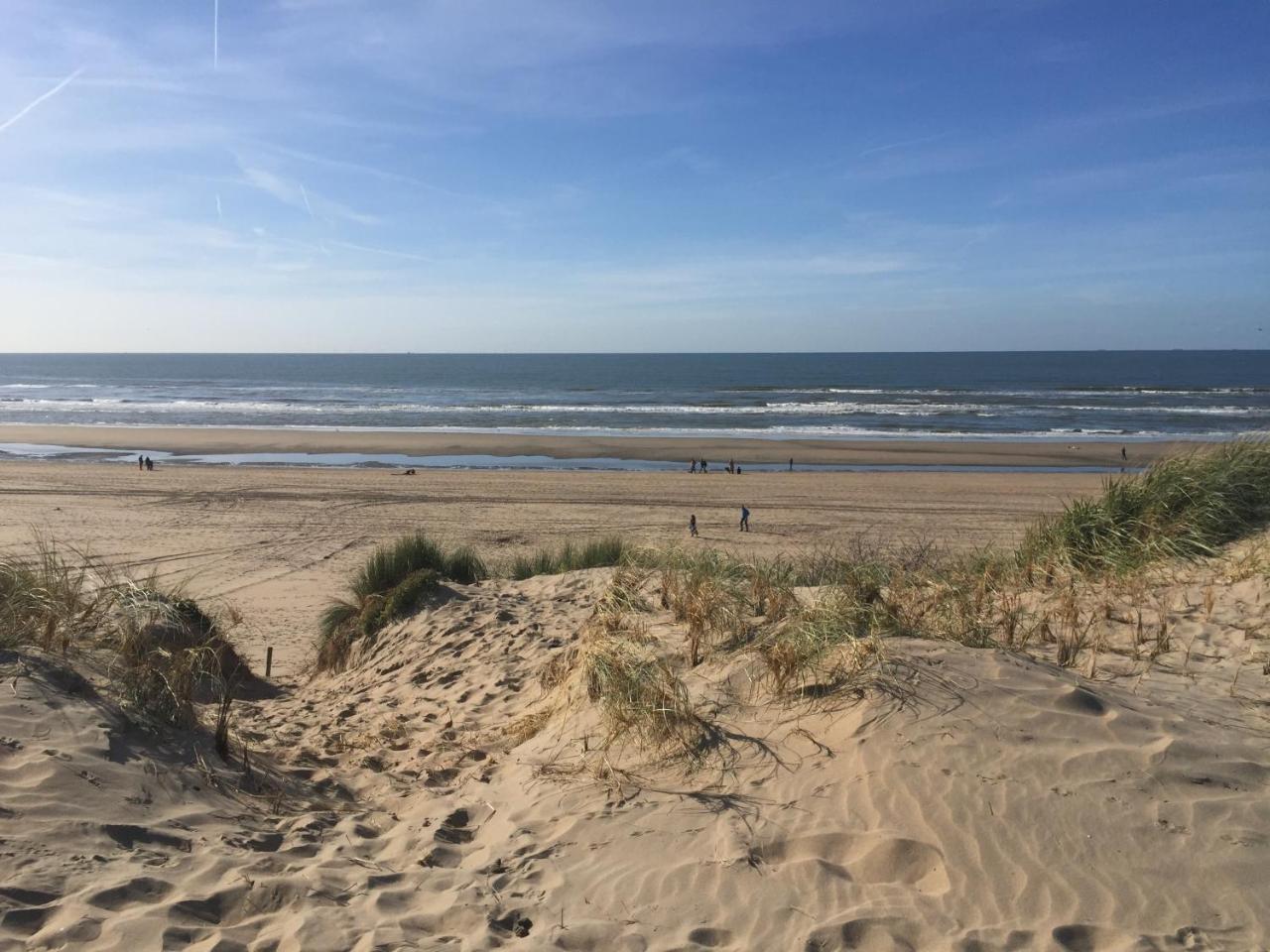 Duynsandt Zandvoort Luaran gambar